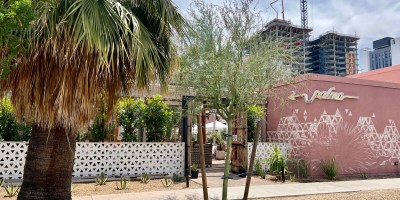 exterior of Palma with palm trees and construction cranes in the background