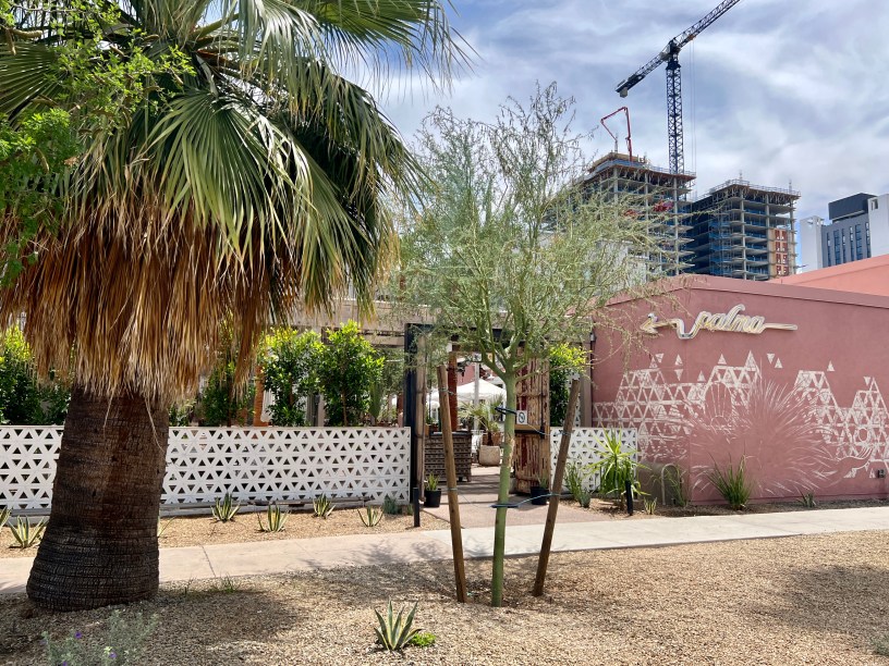 exterior of Palma with palm trees and construction cranes in the background