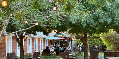 diners seated at tables under trees outside Oven+Vine